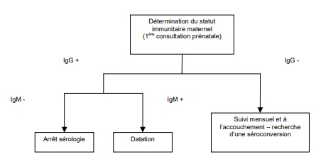 Algorithme dépistage sérologique de la toxoplasmose au cours de la grossesse