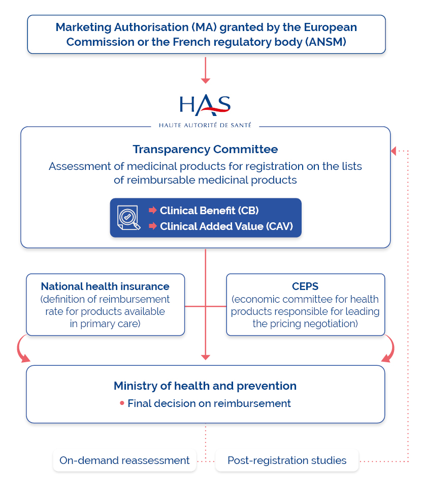 Schéma French medicines assessment system v3-260224