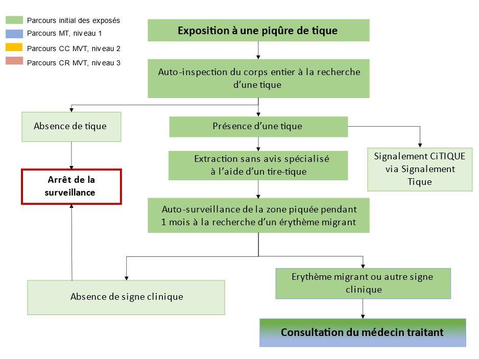 Algorithme du parcours de soins des patients présentant une suspicion de BL en France 1